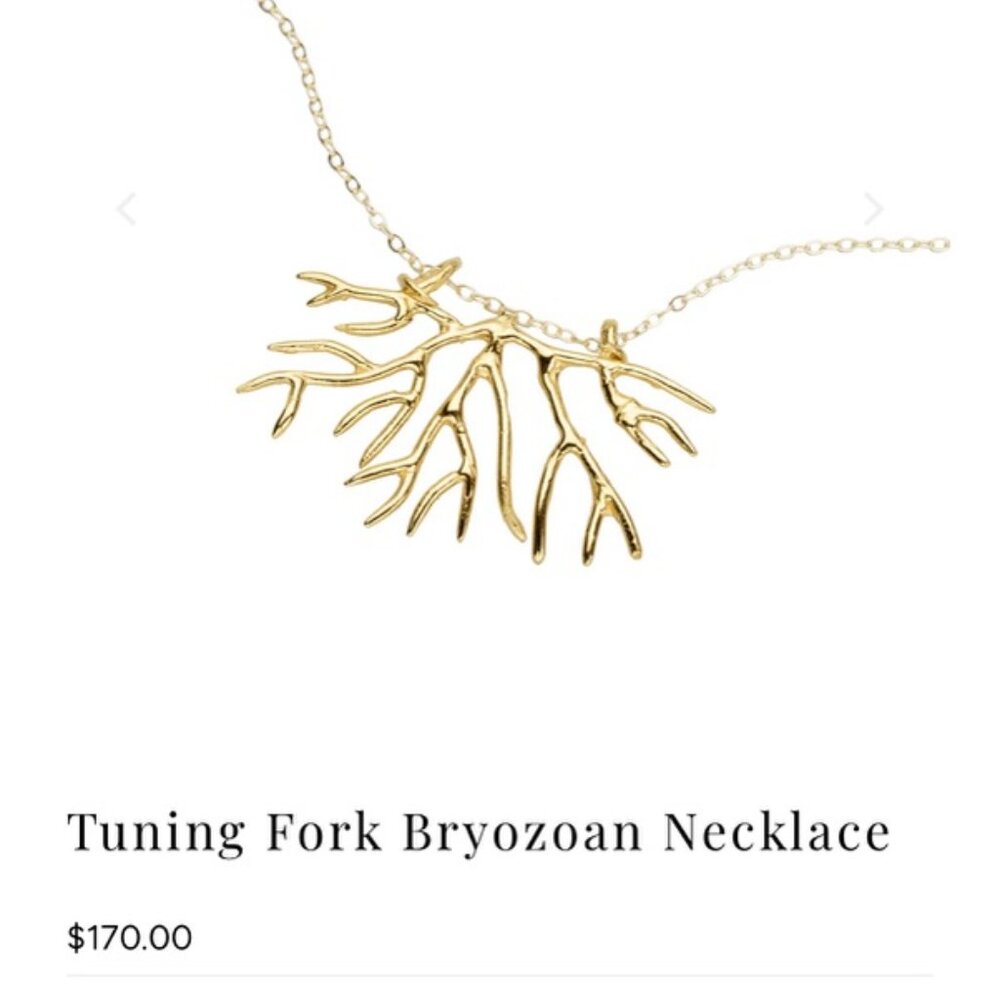 Tuning Fork Bryozoan Necklace - Gold - Picture 12 of 14
